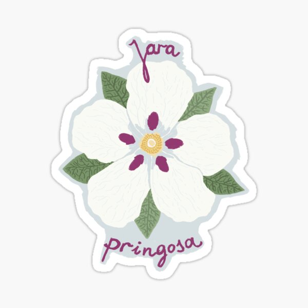 Vista previa del artículo con la obra «Ilustración de Jara Pringosa – Cistus Ladanifer con un divertido juego de palabras sobre la naturaleza en español», diseñado y vendido por Millefolia Design .