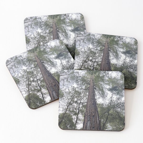 Item preview, Sequoia designed and sold by Alexander Krishchyunas.