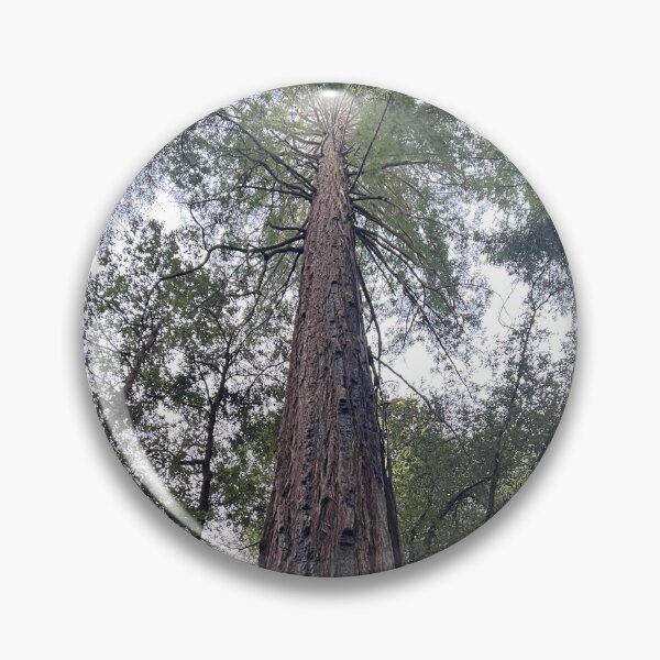 Item preview, Sequoia designed and sold by Alexander Krishchyunas.