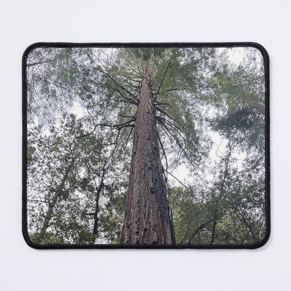 Item preview, Sequoia designed and sold by Alexander Krishchyunas.