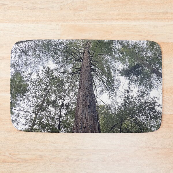 Item preview, Sequoia designed and sold by Alexander Krishchyunas.