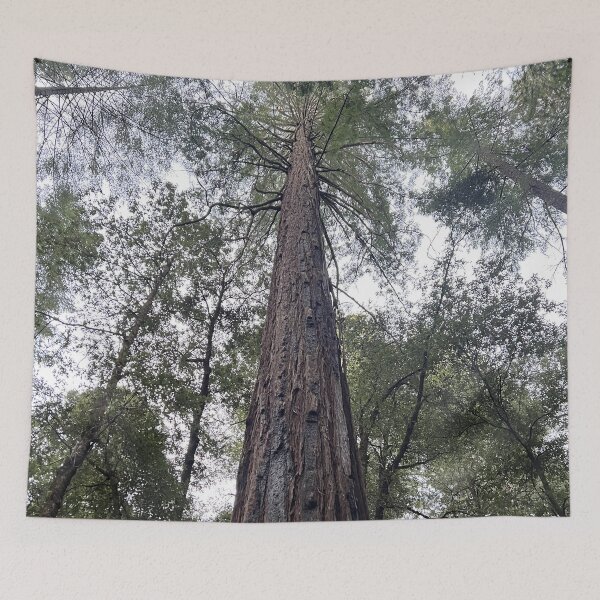 Item preview, Sequoia designed and sold by Alexander Krishchyunas.