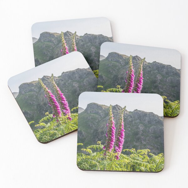 Item preview, Foxgloves on the Fells designed and sold by mikebov.