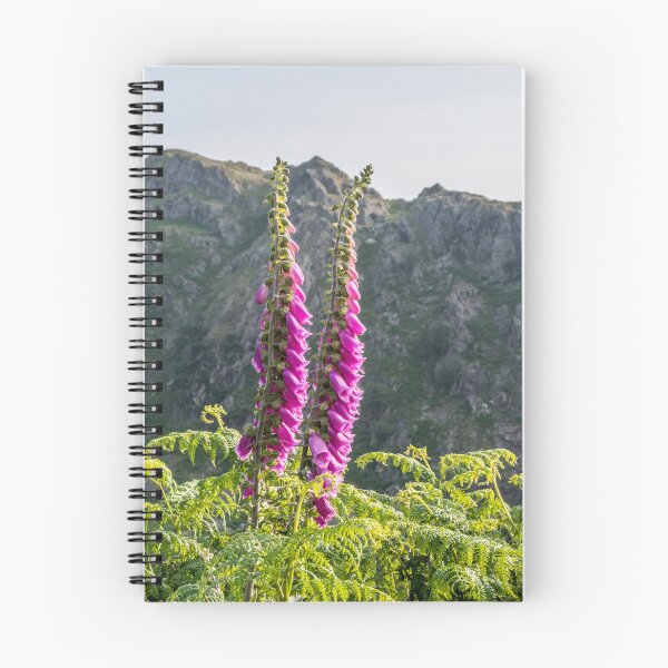 Item preview, Foxgloves on the Fells designed and sold by mikebov.