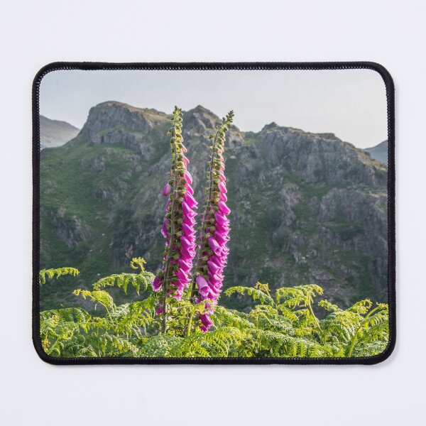 Item preview, Foxgloves on the Fells designed and sold by mikebov.