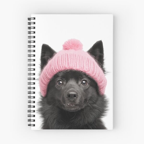Item preview, Cozy Schipperke dog Wearing Pink Winter Hat Trendy Animal Fashion Artwork designed and sold by LazyOwlStore.