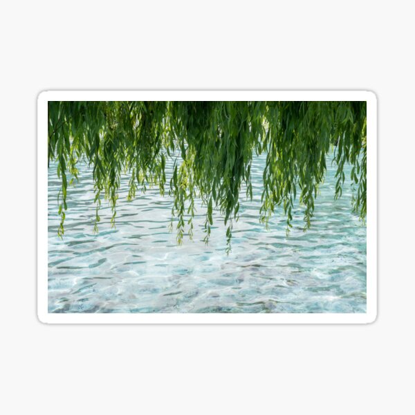 Item preview, Biophilic Willow Curtains with Spa Vibe designed and sold by Georgia Mizuleva.