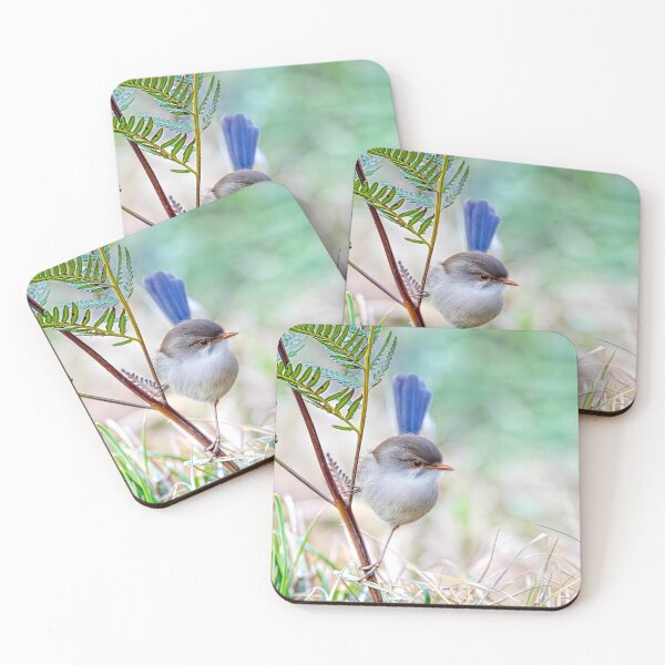 Item preview, Splendid fairy-wren designed and sold by pawprintz.