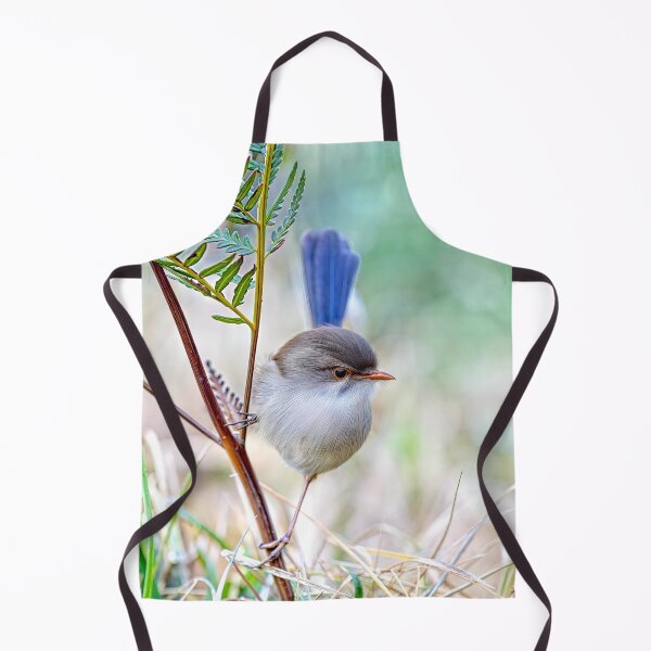 Item preview, Splendid fairy-wren designed and sold by pawprintz.