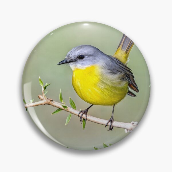 Item preview, Petirrojo amarillo del este designed and sold by pawprintz.