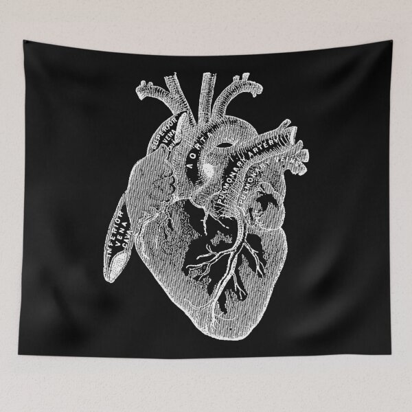 Item preview, Antique Human Anatomy Heart designed and sold by Pixelchicken.