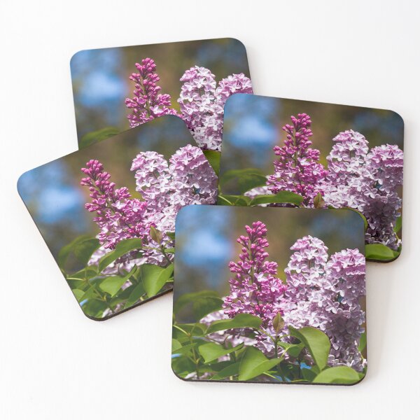 Artikelvorschau, Fliederblumen entworfen und verkauft von Jane Stanley Photography.