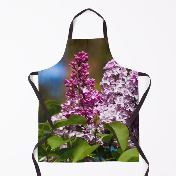 Artikelvorschau, Fliederblumen entworfen und verkauft von Jane Stanley Photography.