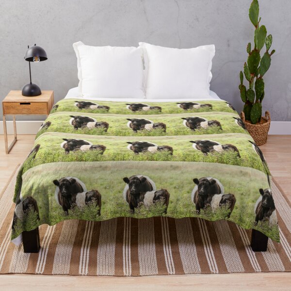 Item preview, Belted Galloway Cows II designed and sold by Jane Stanley Photography.