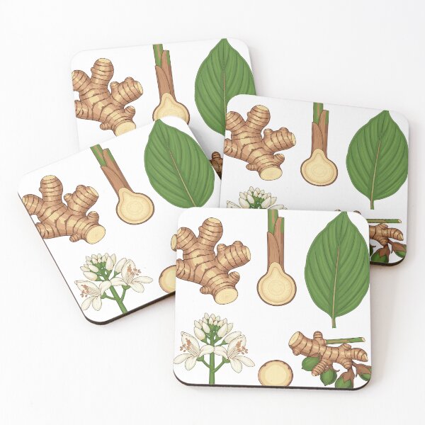 Item preview, Turmeric, Thai herbs, Turmeric herb designed and sold by Dailyprintstyle.