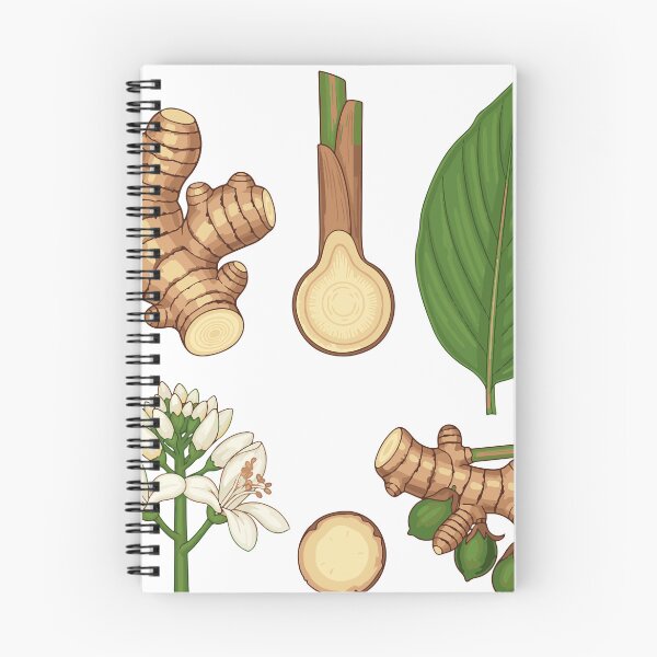 Item preview, Turmeric, Thai herbs, Turmeric herb designed and sold by Dailyprintstyle.