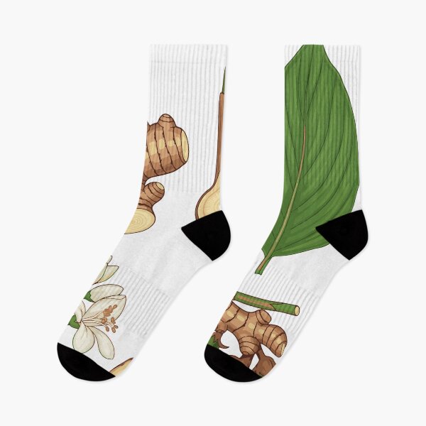 Item preview, Turmeric, Thai herbs, Turmeric herb designed and sold by Dailyprintstyle.