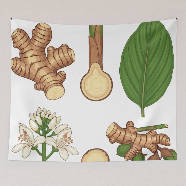 Item preview, Turmeric, Thai herbs, Turmeric herb designed and sold by Dailyprintstyle.