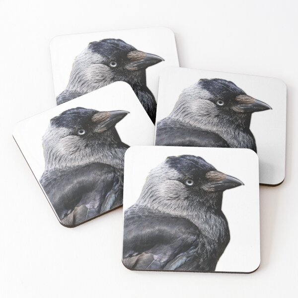 Item preview, Jackdaw bird designed and sold by Dodak.