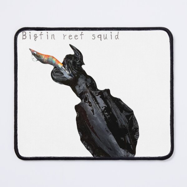 Item preview, No.020　Bigfin Reef Squid – アオリイカ designed and sold by taichi69nz.