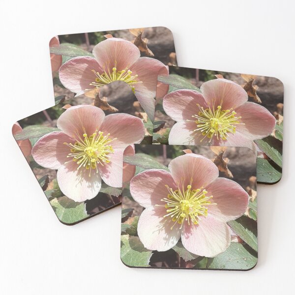 Item preview, One of the first Blooms of the Year designed and sold by VelvetLunaMoth.
