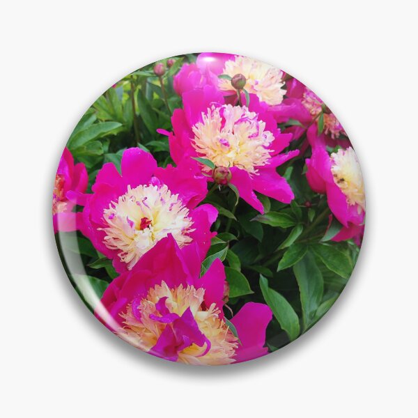 Item preview, Peony dream designed and sold by Raigitam.