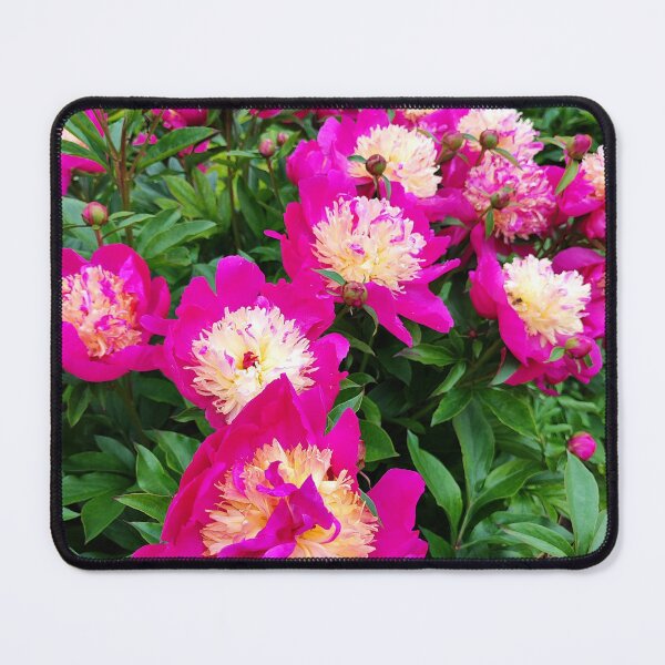 Item preview, Peony dream designed and sold by Raigitam.