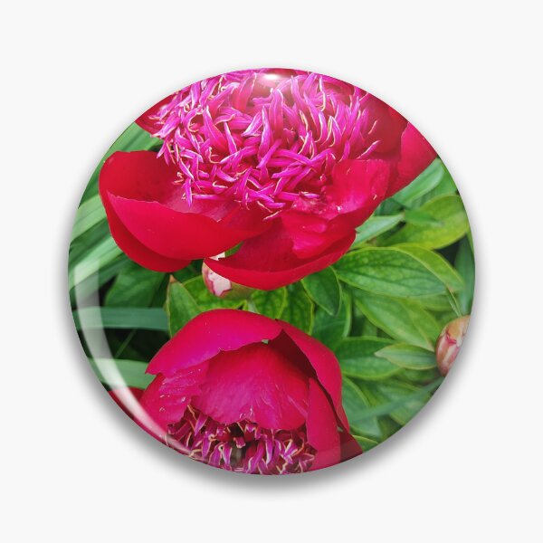 Item preview, Peony love designed and sold by Raigitam.