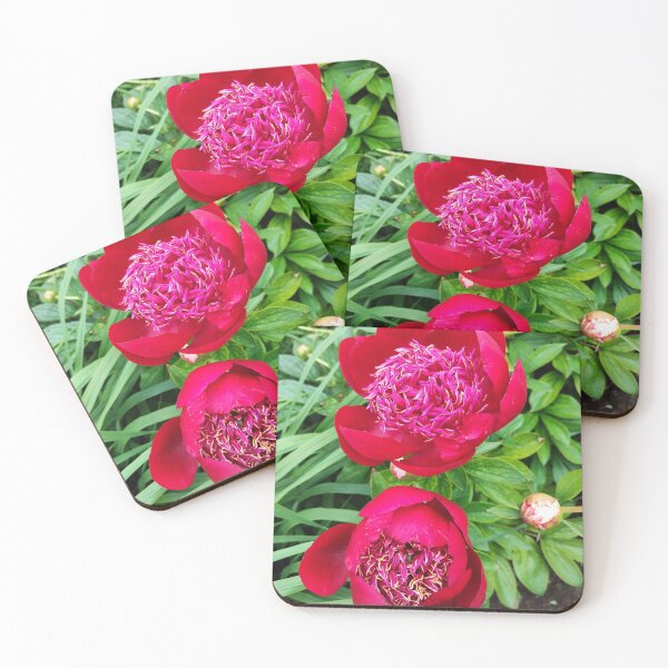 Item preview, Peony love designed and sold by Raigitam.