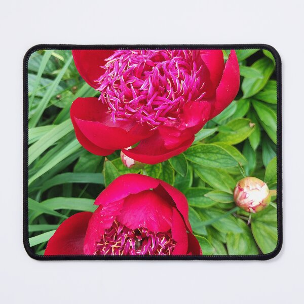 Item preview, Peony love designed and sold by Raigitam.