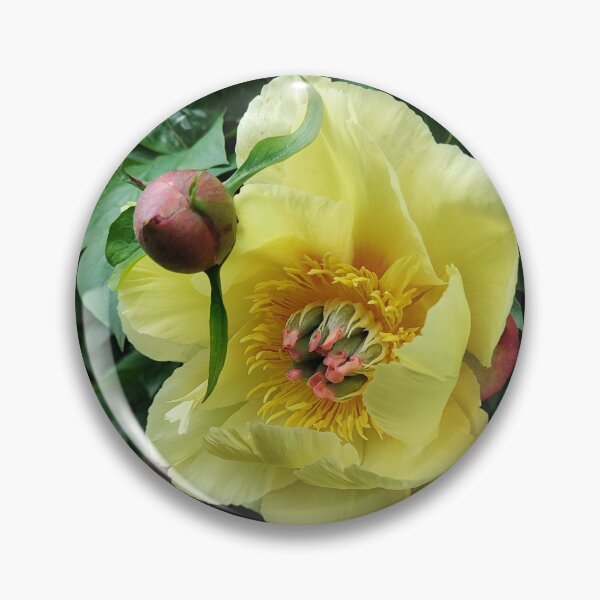 Item preview, Yellow peony designed and sold by Raigitam.