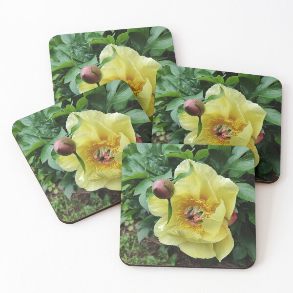 Item preview, Yellow peony designed and sold by Raigitam.