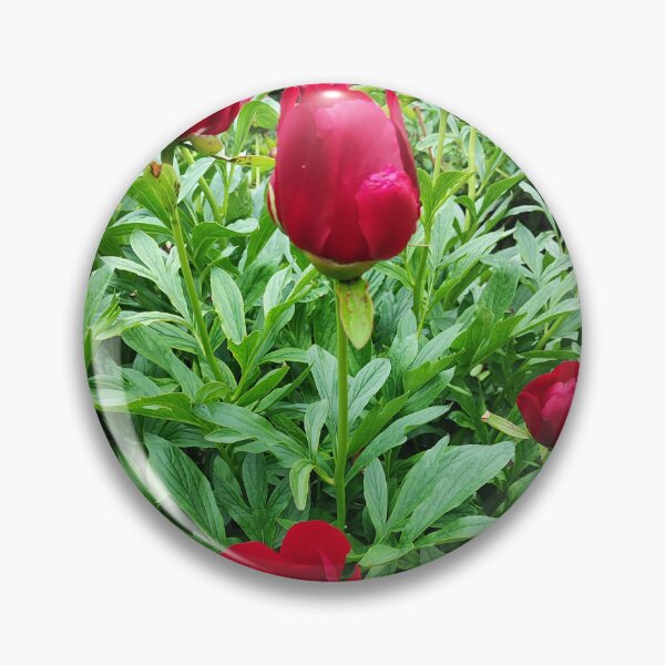 Item preview, Romantic peonies designed and sold by Raigitam.