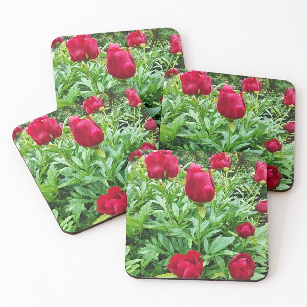 Item preview, Romantic peonies designed and sold by Raigitam.