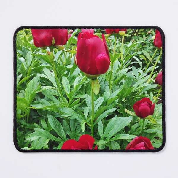 Item preview, Romantic peonies designed and sold by Raigitam.