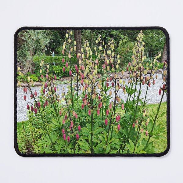 Item preview, Waiting for flowering designed and sold by Raigitam.