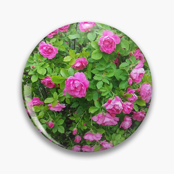 Item preview, Roses are always a brilliant idea designed and sold by Raigitam.
