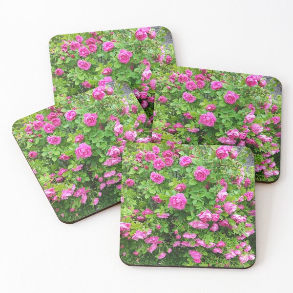 Item preview, Roses are always a brilliant idea designed and sold by Raigitam.