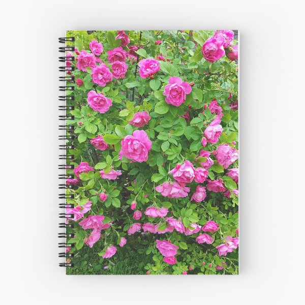 Item preview, Roses are always a brilliant idea designed and sold by Raigitam.