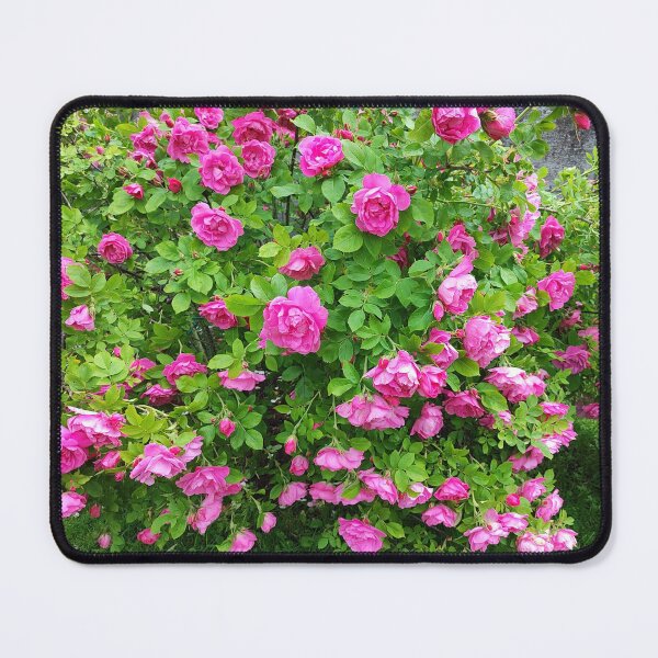 Item preview, Roses are always a brilliant idea designed and sold by Raigitam.