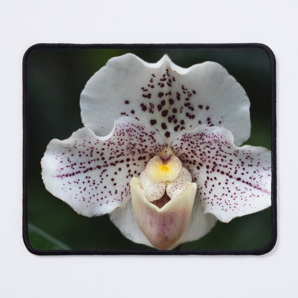 Item preview, Orchid of One designed and sold by Ruth Jolly.