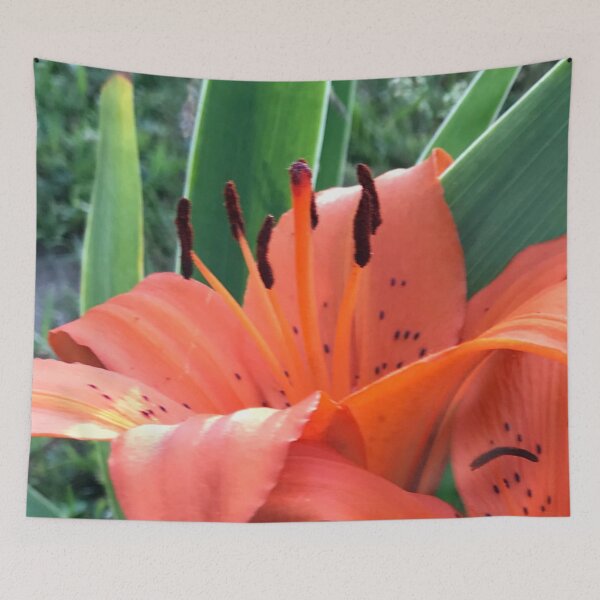 Item preview, Orange Lily designed and sold by Dodie Mccandless.
