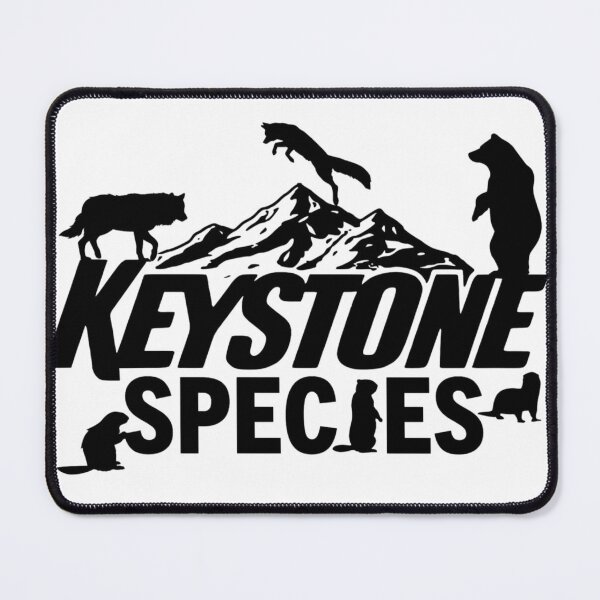 Item preview, The best kind of Keystone designed and sold by Songdog Desert Treasures.