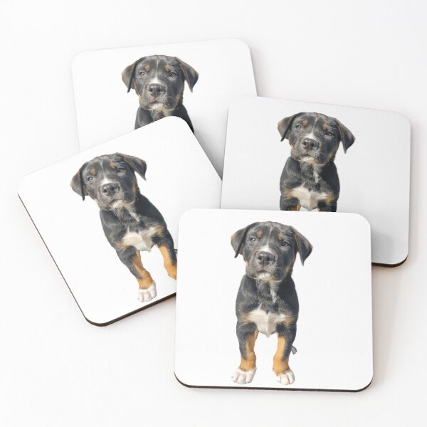 Item preview, Adorable Black Dog Puppy Rottweiler Mix designed and sold by Dog Hair and Healing.
