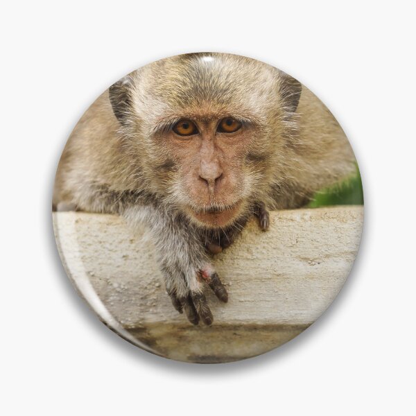 Item preview, Monkey in Bali designed and sold by Bionic Images.