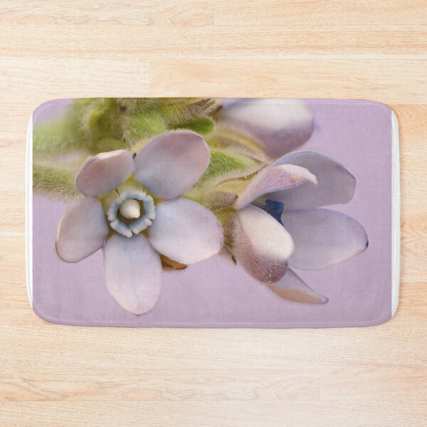 Item preview, Pastel Harmony – Tweedia oxypetala in Dual Bloom designed and sold by Goiko7Margarita.