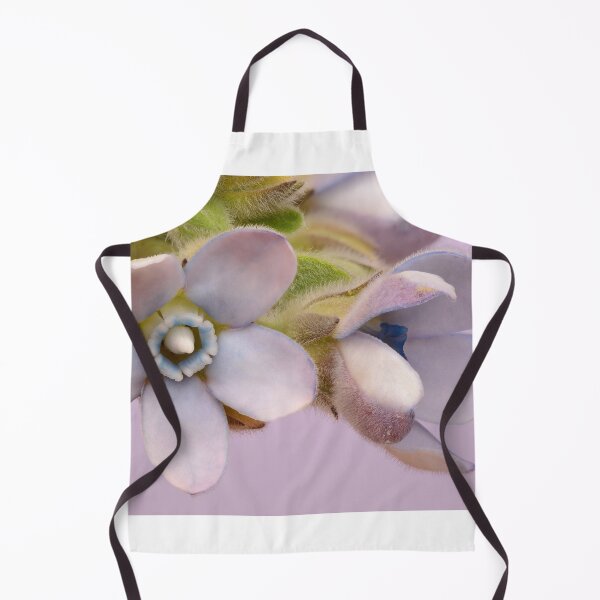 Item preview, Pastel Harmony – Tweedia oxypetala in Dual Bloom designed and sold by Goiko7Margarita.