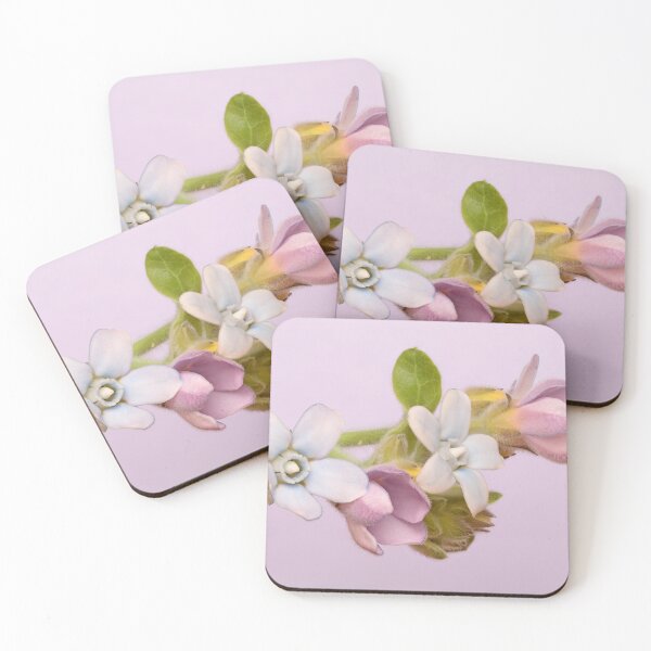 Item preview, Tweedia oxypetala – Soft Blue Pink Bloom Macro designed and sold by Goiko7Margarita.