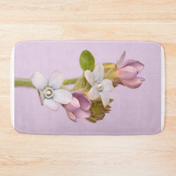 Item preview, Tweedia oxypetala – Soft Blue Pink Bloom Macro designed and sold by Goiko7Margarita.