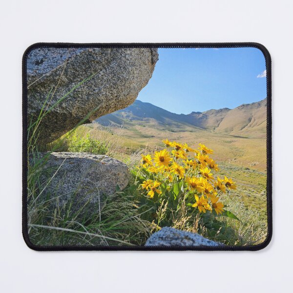 Item preview, Balsamroot Limelight designed and sold by Songdog Desert Treasures.